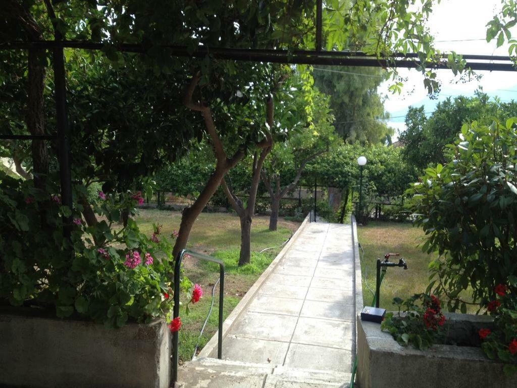 Soile Georgia Apartment Loutra Edipsou  Exterior photo